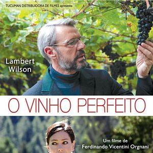 Foto O Vinho Perfeito