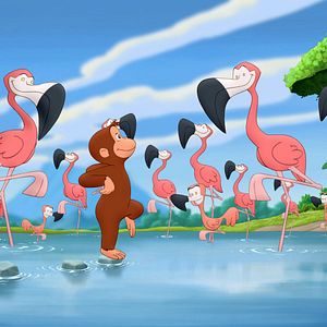 Foto George, o Curioso 3