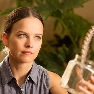 Foto Verão em Woodstock