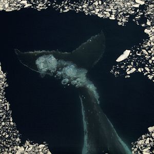 Foto O Céu e a Geleira