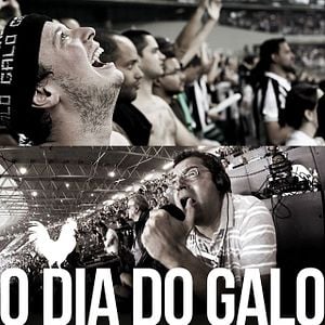 Foto O Dia do Galo