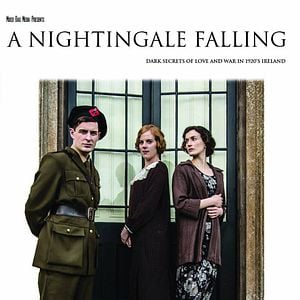 Foto A Nightingale Falling