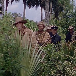 Foto Tambores Distantes