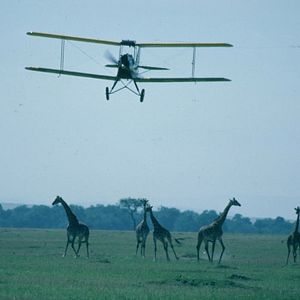 Foto Entre Dois Amores