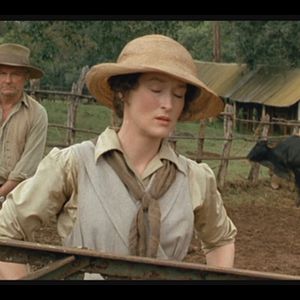 Foto Entre Dois Amores