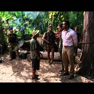 Foto Bem-Vindo à Selva