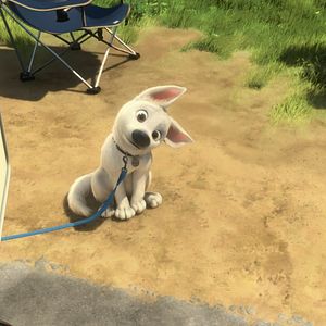 Foto Bolt - Supercão