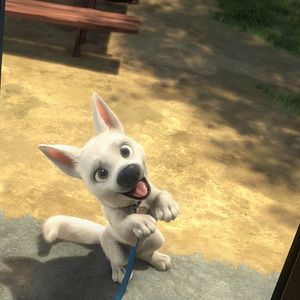 Foto Bolt - Supercão