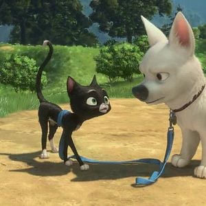 Foto Bolt - Supercão