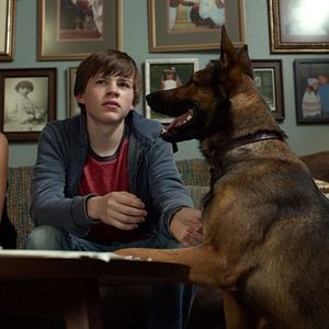 Foto Max - O Cão Herói