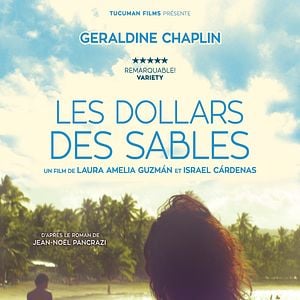 Foto Dólares de Areia