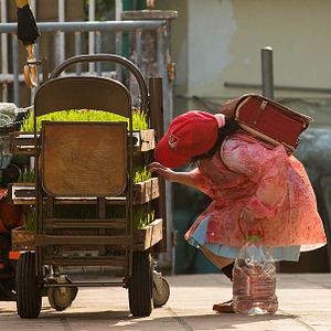 Foto Hoeng Gong Saam Bou Kuk