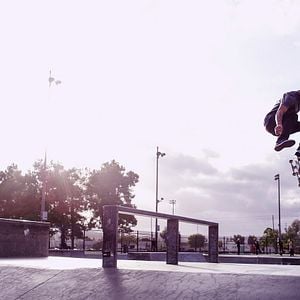 Foto The Search for Freedom