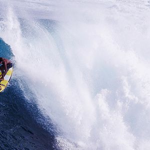 Foto The Search for Freedom