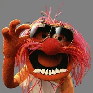 Foto Os Muppets