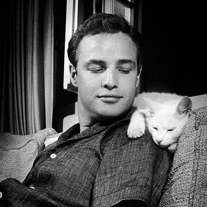 Foto A Verdade Sobre Marlon Brando
