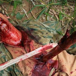 Foto As Fábulas Negras