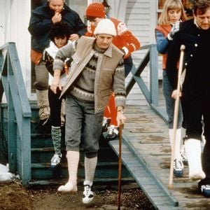 Foto As Quatro Estações do Ano