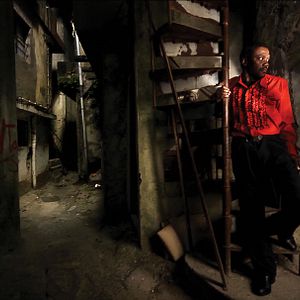 Foto Cavalo Dinheiro