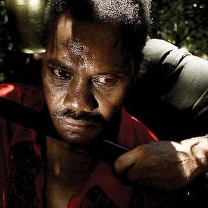 Foto Cavalo Dinheiro