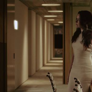 Foto A Floresta Que Se Move