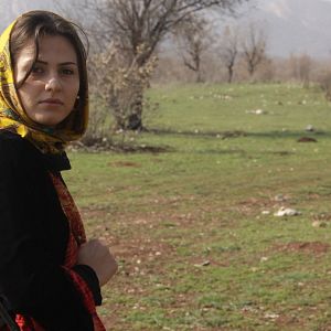 Foto Memories on Stone