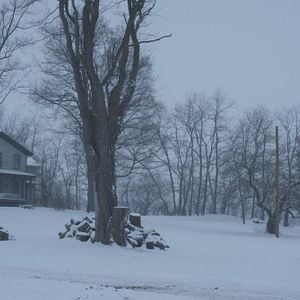 Foto Ainda Estamos Aqui