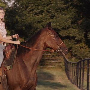 Foto Uma Lição de Humildade