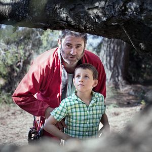 Foto Um Dia Perfeito Para Voar