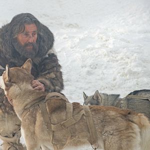 Foto Ninguém Deseja A Noite