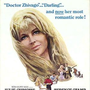 Foto Longe Deste Insensato Mundo