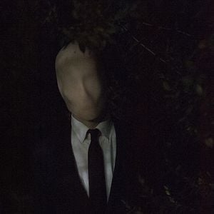 Foto Sempre De Olho: Uma História Marble Hornet