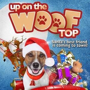 Foto Up on the Wooftop