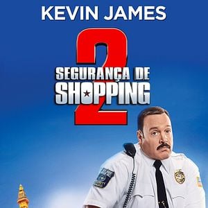 Foto Segurança de Shopping 2