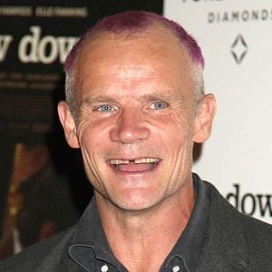 Foto Flea