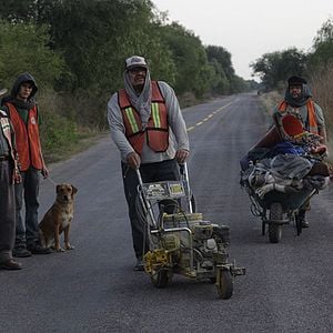 Foto A Estreita Faixa Amarela