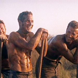 Foto Rebeldia Indomável