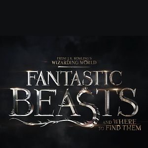 Foto Animais Fantásticos e Onde Habitam