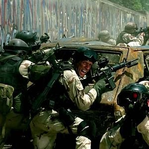 Foto Falcão Negro em Perigo