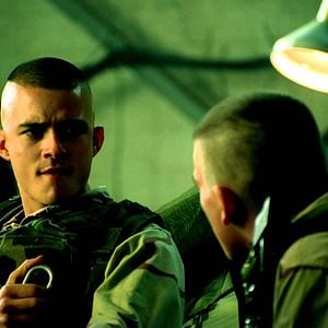 Foto Falcão Negro em Perigo