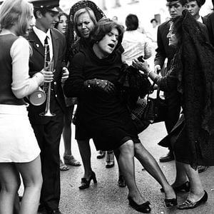 Foto Mi Querida Señorita