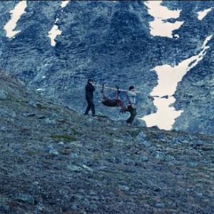 Foto Voltando Para Casa