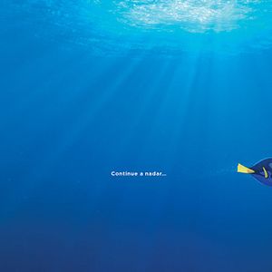 Foto Procurando Dory