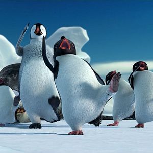 Foto Happy Feet - O Pinguim
