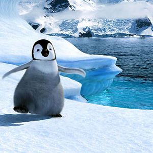 Foto Happy Feet - O Pinguim