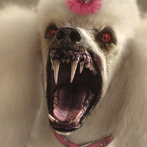 Foto Goosebumps - Monstros e Arrepios