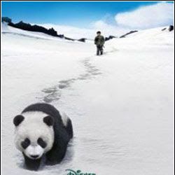 Foto Na Trilha do Panda