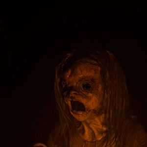 Foto A Maldição da Floresta