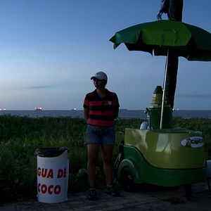 Foto Passarinho Lá de Nova Iorque