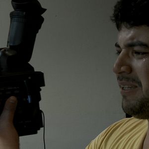 Foto Passarinho Lá de Nova Iorque